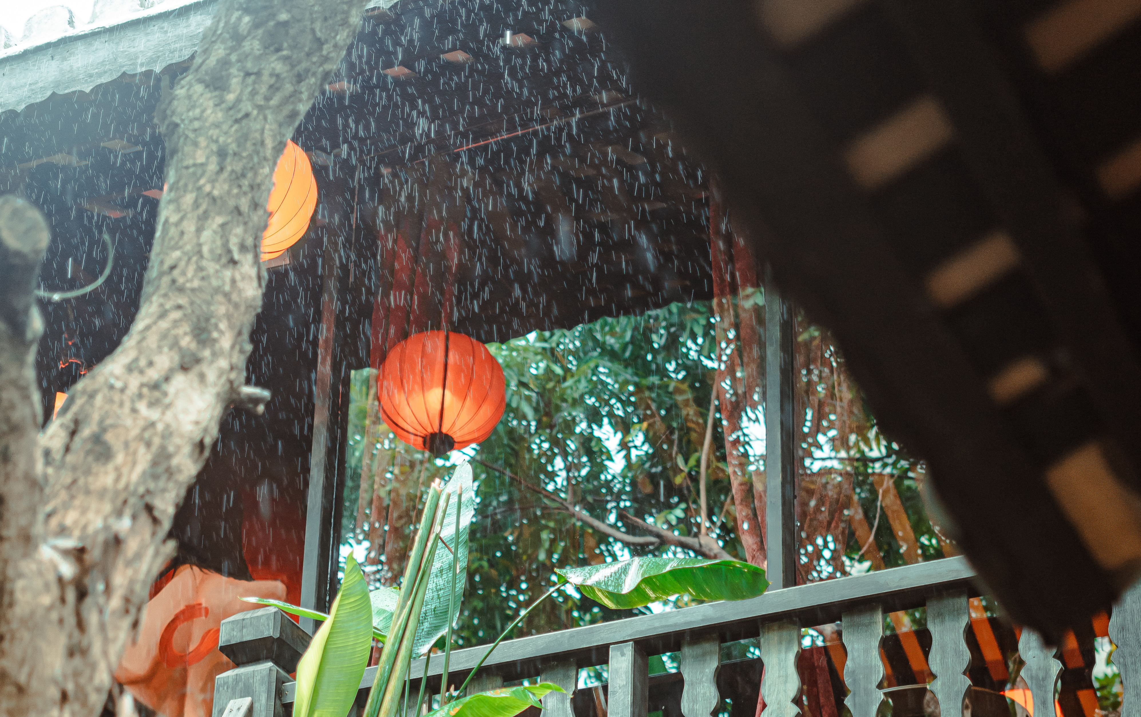  Tản mạn: Đông và Ngon